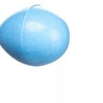 Ovo Indez Canário Coleiro Curió Tiziu N1 Azul Kit C/ 10 Ovos