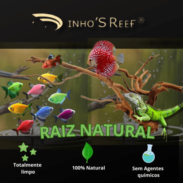 RAIZ NATURAL D-ROOT 20-30CM KG  -  DINHOS REEF ANIMAL 1KG - Imagem 3