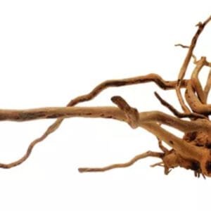 RAIZ NATURAL D-ROOT 20-30CM KG - DINHOS REEF ANIMAL 1KG