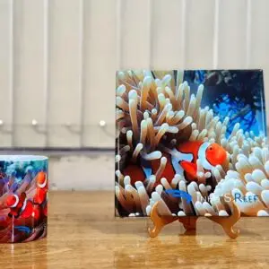 Coleção Exclusiva Dinho'S Reef Caneca + Azulejo