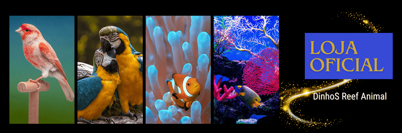 DinhoS Reef Animal