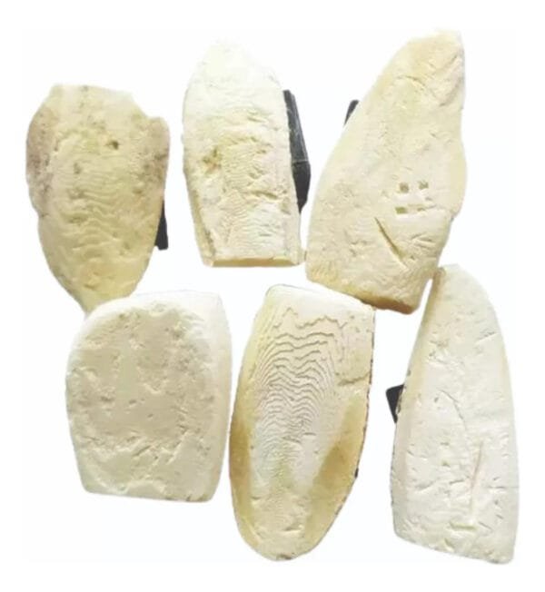 Osso De Siba 50g C/20un Natural Com Suporte - Tarin - Imagem 2