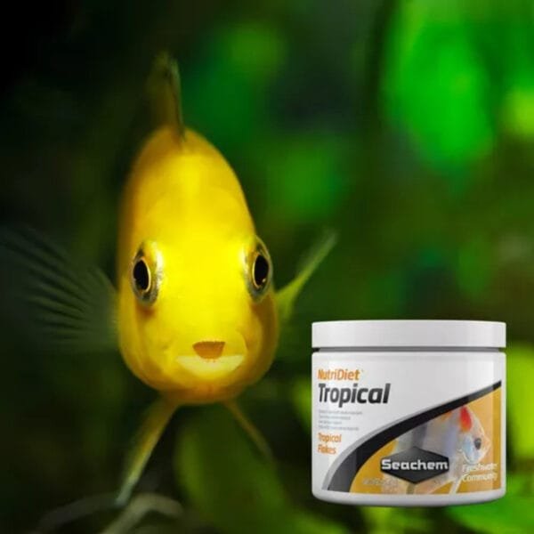 NUTRIDIET TROPICAL FLAKES W PRO 15G  -  SEACHEM - Imagem 2