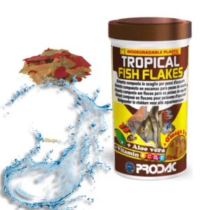 TROPICAL-2.png