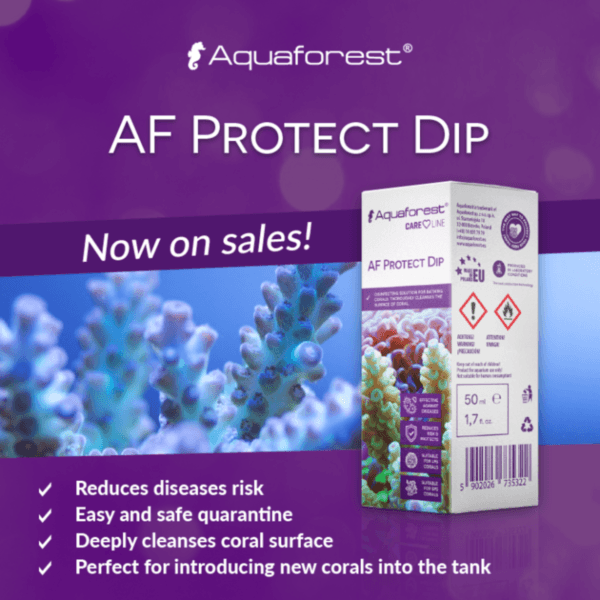 AF PROTECT DIP - 50 ML - Imagem 2