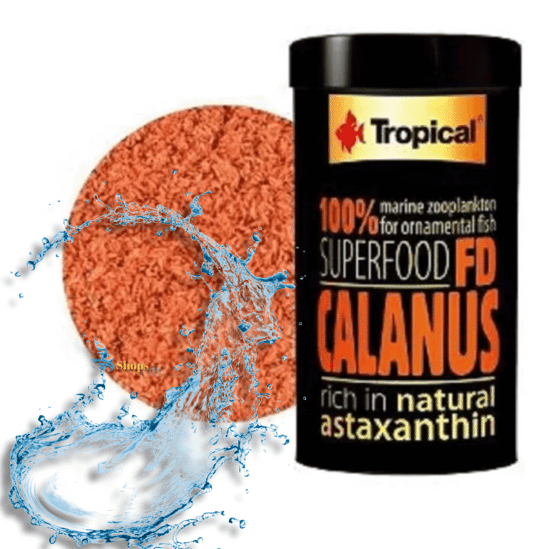 calanus.png