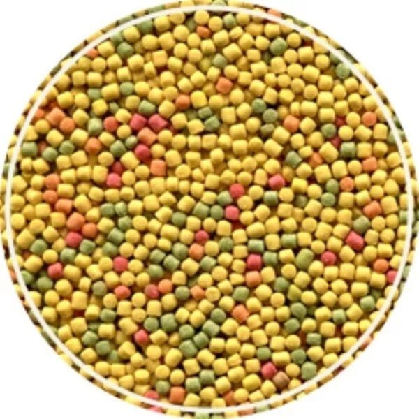 ALCON CLUB CANARIO 150 GR - Imagem 2