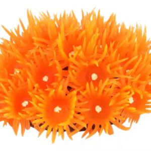 ENFEITE DE SILICONE SOMA CORAL GONIOPORA VERMELHA