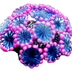 ENFEITE DE SILICONE SOMA CORAL ALVEOPORA AZUL 02
