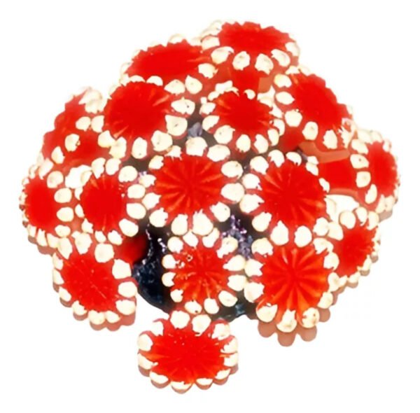 ENFEITE DE SILICONE SOMA CORAL ALVEOPORA VERMELHA 02