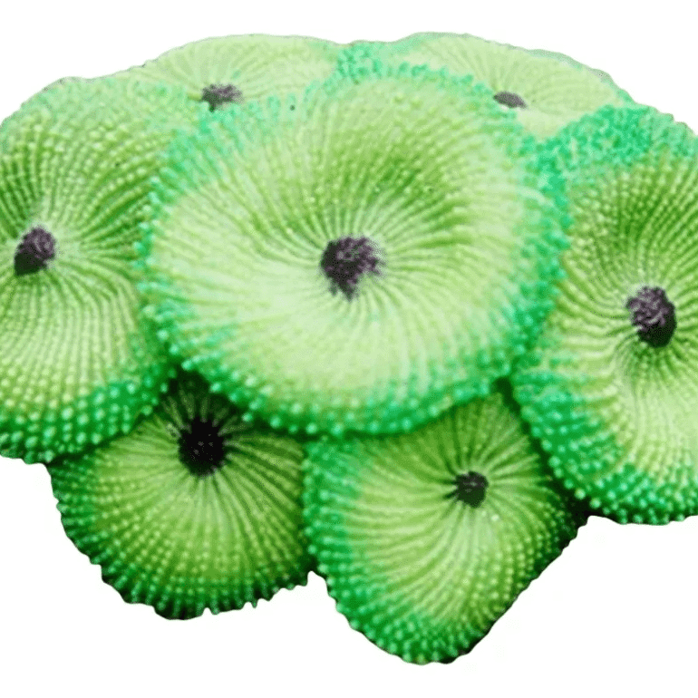 e196c8c8979b7e6864282377fef8cd8c.png