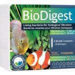 PRODIBIO BIODIGEST 1 AMPOLA