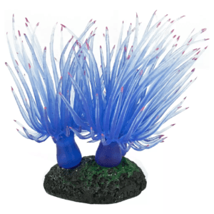 ENFEITE DE SILICONE SOMA ANEMONA LONG TENTACLE AZUL - MULTI