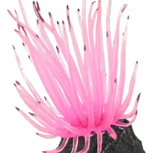 ENFEITE DE SILICONE SOMA ANEMONA LONG TENTACLE ROSA