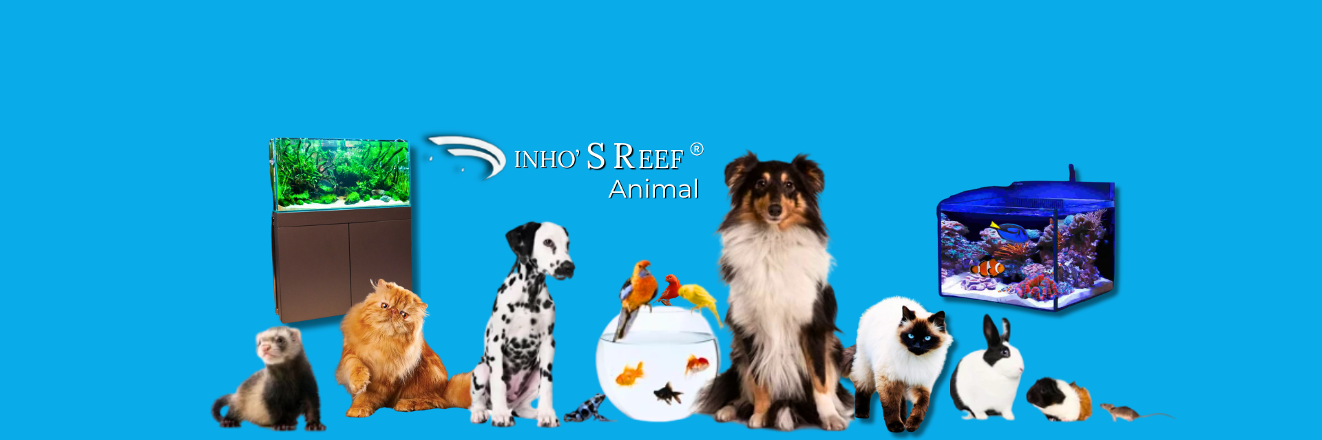 Animal-_720-x-160-px_-_1920-x-639-px_-_1792-x-1024-px_-_1920-x-639-px_