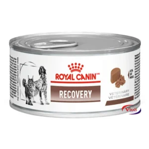 Royal Canin Recovery Cão E Gato 195g