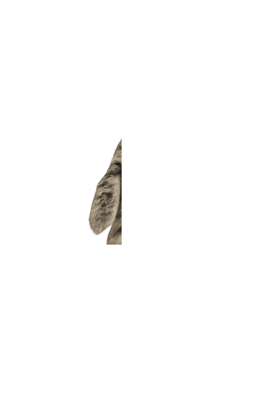 Design sem nome (10)