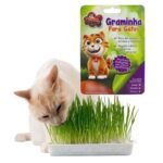 GRAMINHA CAT DOG P/ GATOS 50G